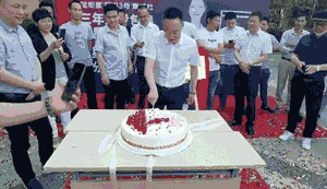 公司高层领导与嘉宾为蓝炬星电器安徽分公司正式揭牌并献上祝福蛋糕