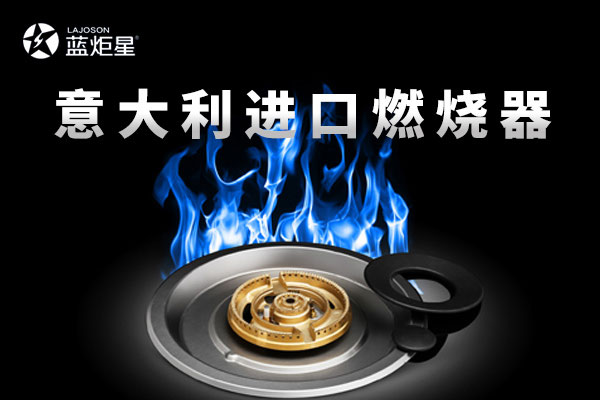 2016年蓝炬星电器与DEFENDI(蒂芬迪)燃烧器签约仪式现场