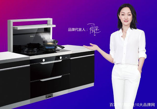 蓝炬星集成灶代言人—周迅