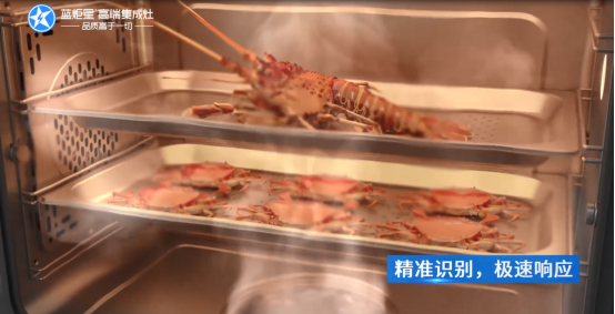 蓝炬星集成灶