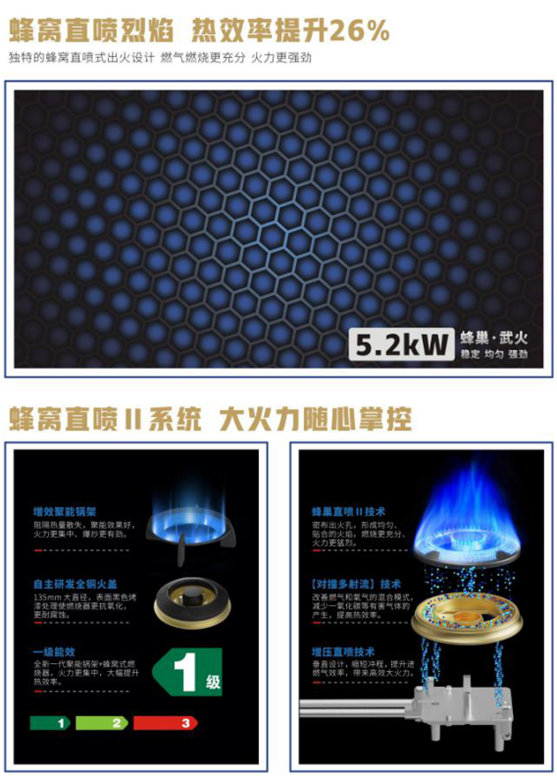 蓝炬星集成灶蜂窝直喷烈焰